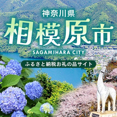 神奈川県相模原市